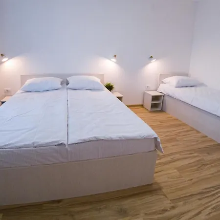 Smestaj Milutinn アパート ソコバニャ