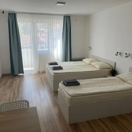 Smestaj Milutinn アパート *