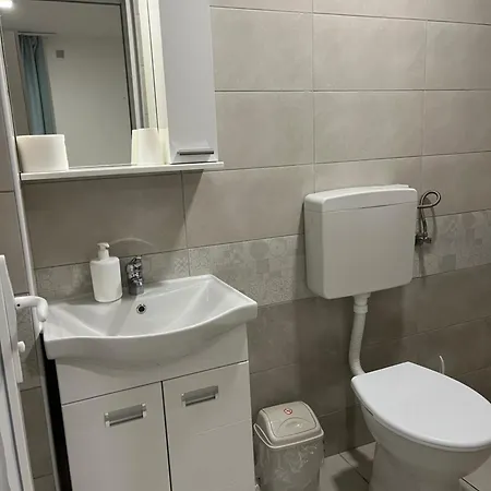 Smestaj Milutinn * ソコバニャ