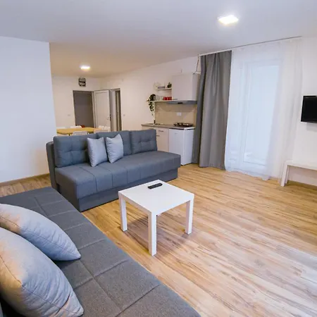 Smestaj Milutinn ソコバニャ