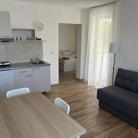 Smestaj Milutinn * ソコバニャ