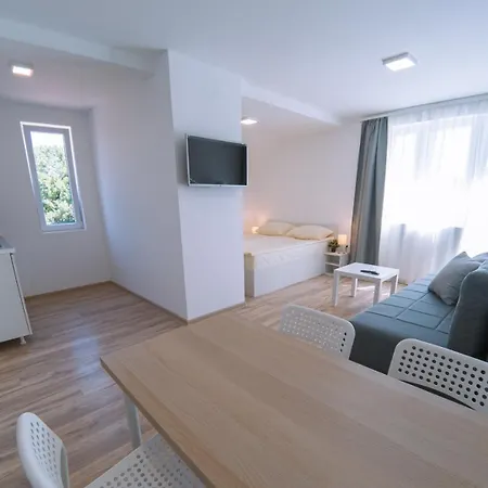 Smestaj Milutinn アパート