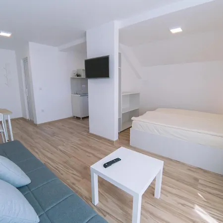 Smestaj Milutinn アパート ソコバニャ