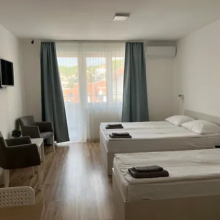 Apartment Smestaj Milutinn Soko Banja