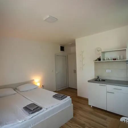 Smestaj Milutinn * ソコバニャ