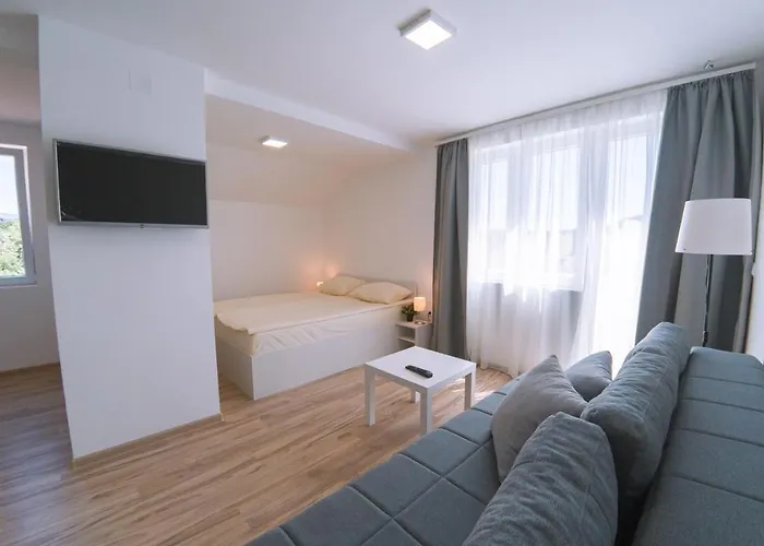 Smestaj Milutinn Soko Banja