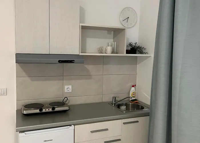 Smestaj Milutinn Apartamento Soko Banja