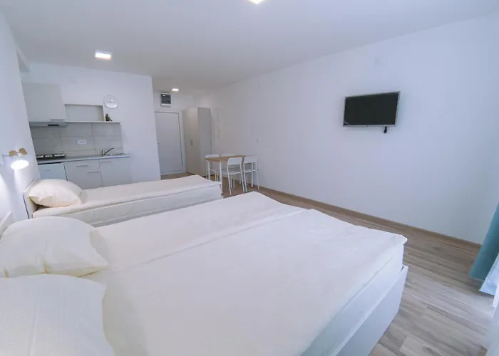 Smestaj Milutinn Apartamento Soko Banja