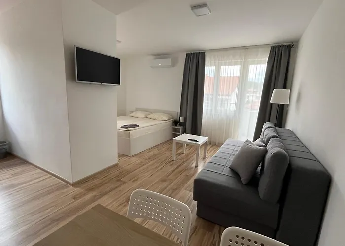 Apartamento Smestaj Milutinn Soko Banja